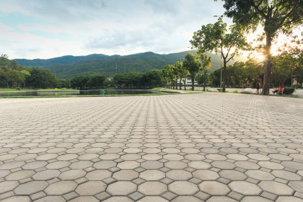 Best Driveway Repair Near Me  in Vinton, TX